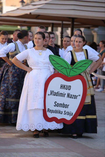 HKC Bunjevačko kolo i HKPD Vladimir Nazor sudjelovali na Vinkovačkim jesenima