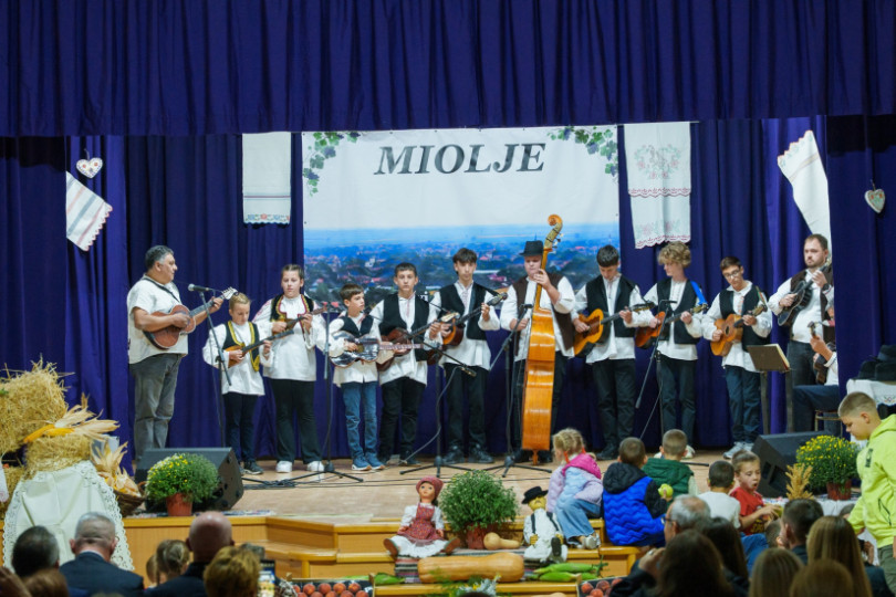 U Novom Slankamenu održan Miholjski koncert