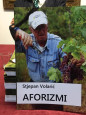 Nova knjiga: Stjepan Volarić - Aforizmi
