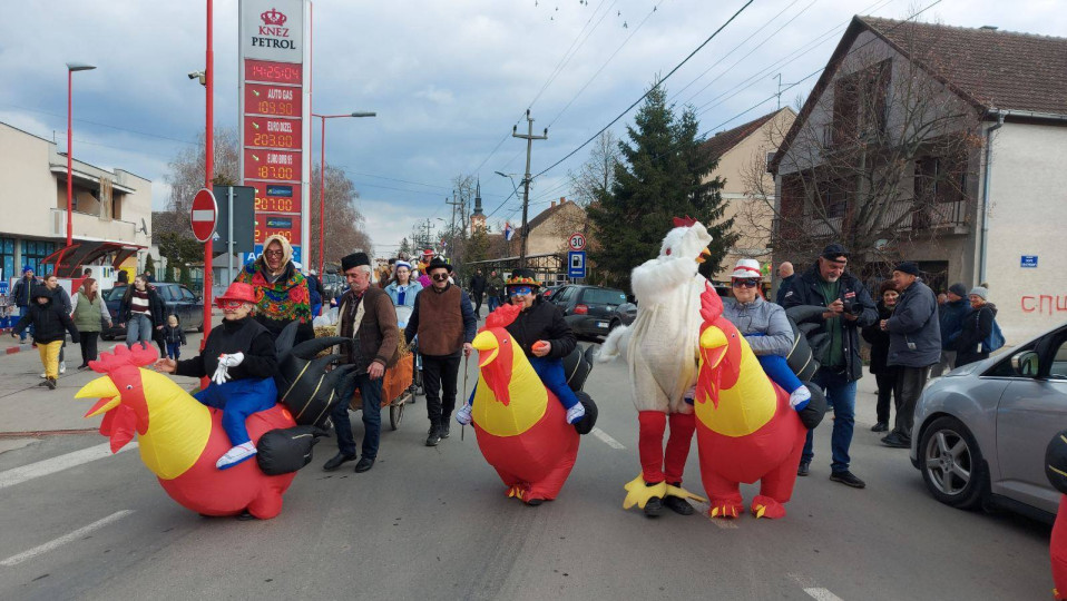 Održane Golubinačke mačkare