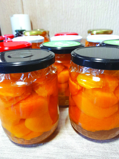 Dunc (kompot) i pekmez od kajsija (marelica)